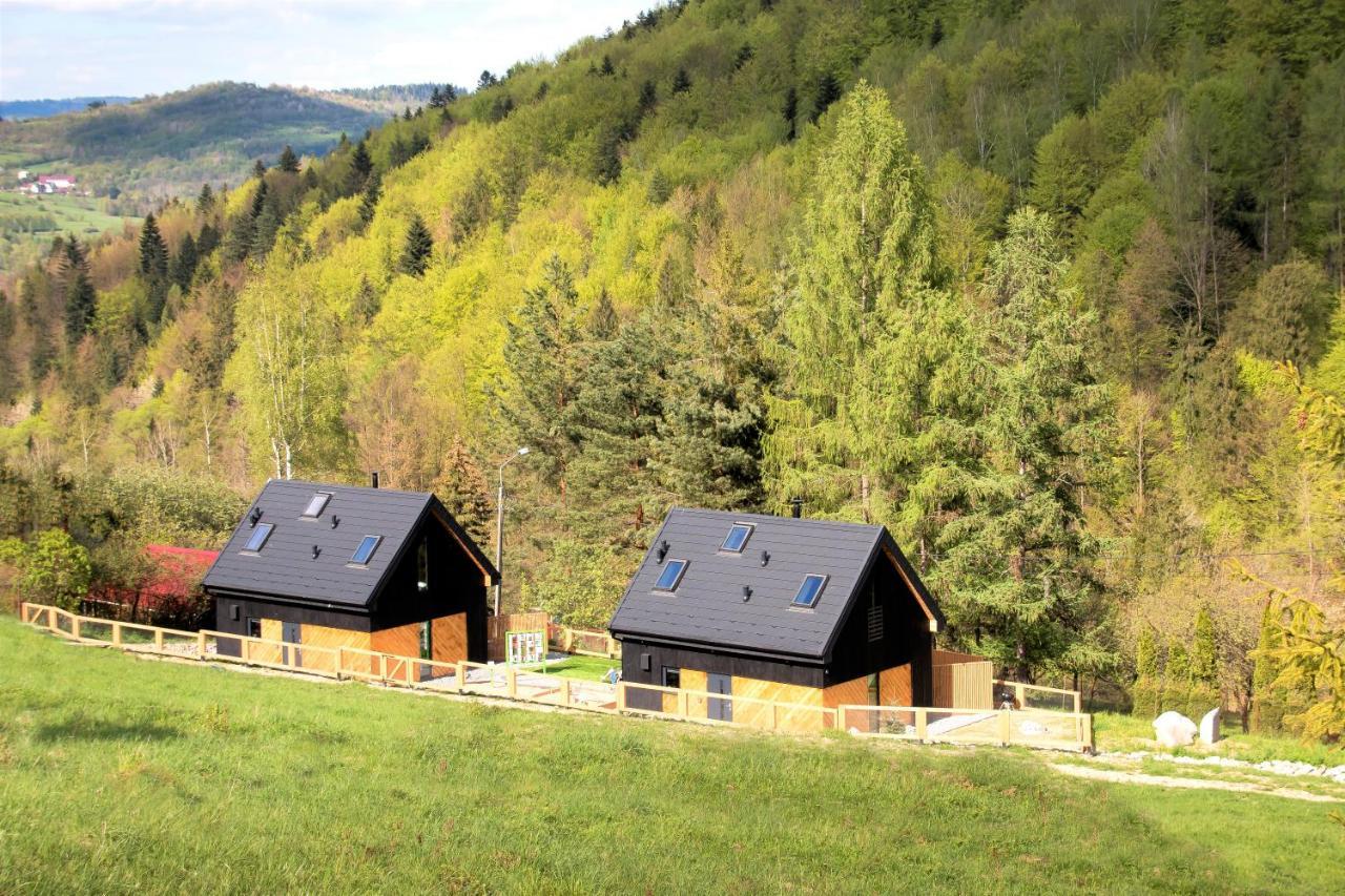Projekt Swit - Domki Z Prywatna Jacuzzi I Sauna Żywiec Εξωτερικό φωτογραφία